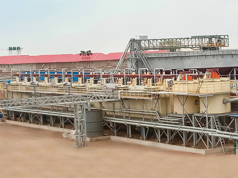 Zimbabwe Lepidolite 3000T/D Progetto di elaborazione minerale - Zhejiang Dingsen Holding Co., Ltd.